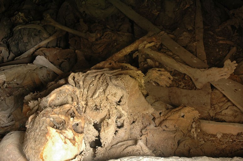 Decaying Corpse, Dargavs, North Ossetia-Alania Republic, Russia