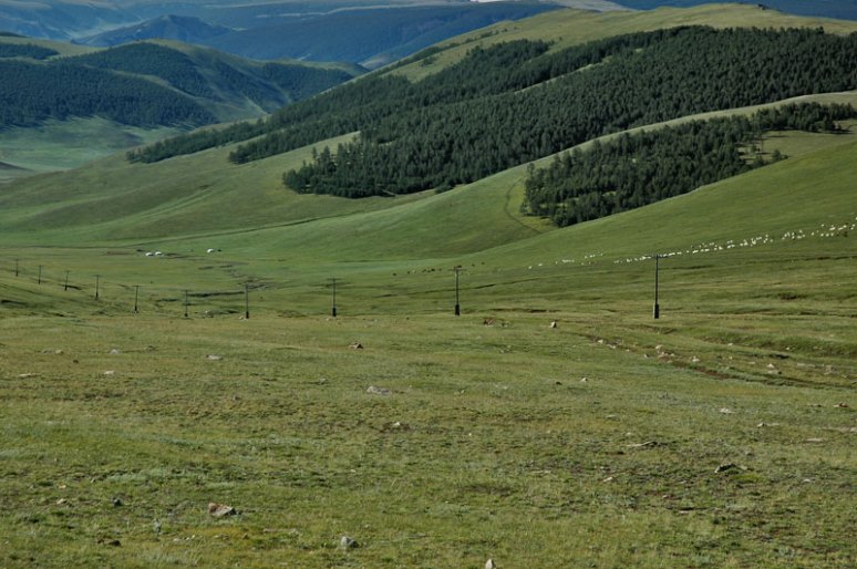 Forested Hills, near Uliastai, Zavkhan Province, Mongolia