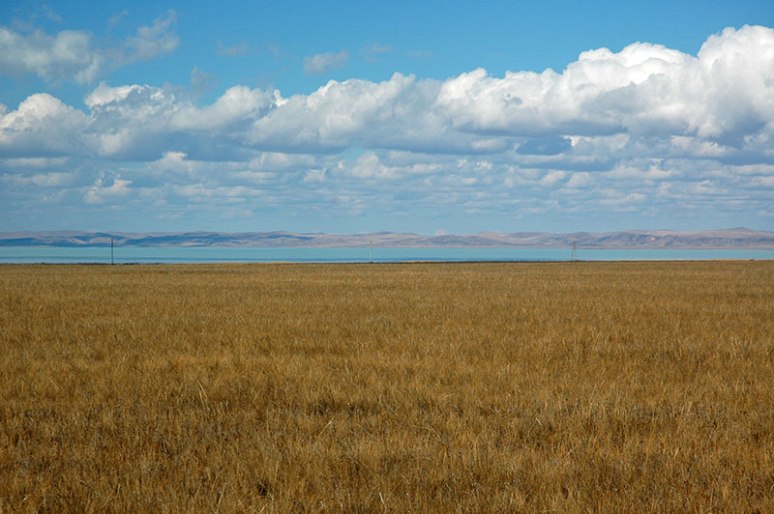 Zun-Torey Lake, Zabaikal Territory, Russia