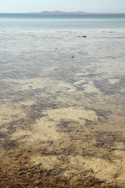 North Aral Sea, Kyzylorda Region, Kazakhstan